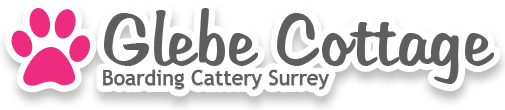 Glebe Cottage Cattery - Home run Boarding Cattery in Surrey